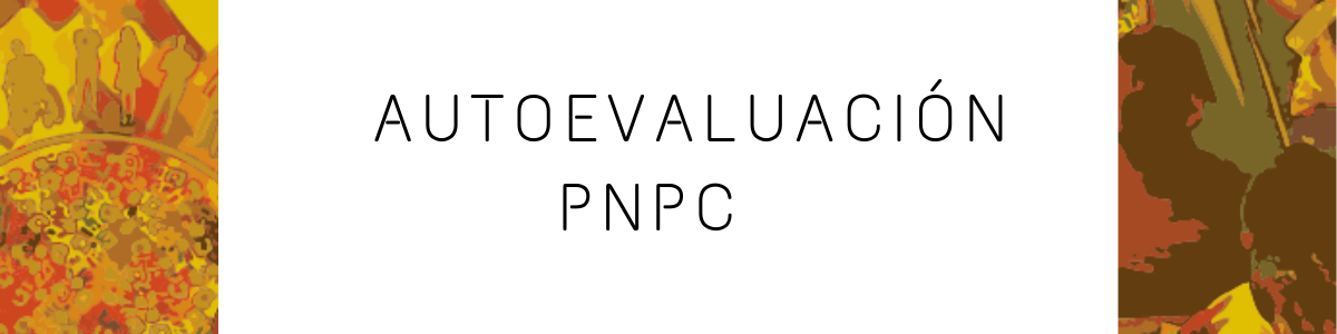 Autoevaluación PNPC